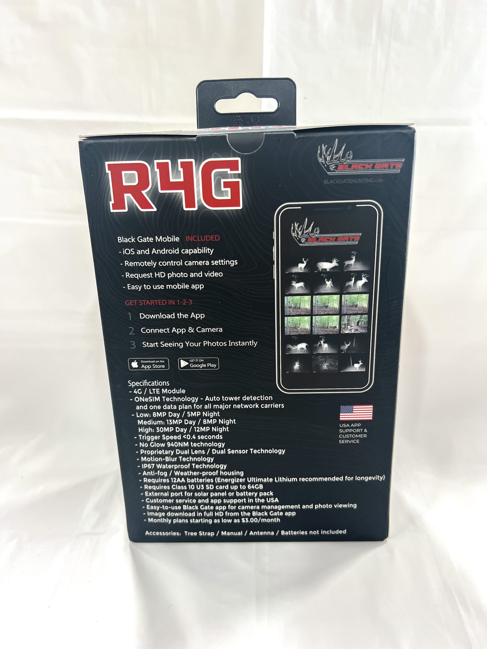 black gate r4g